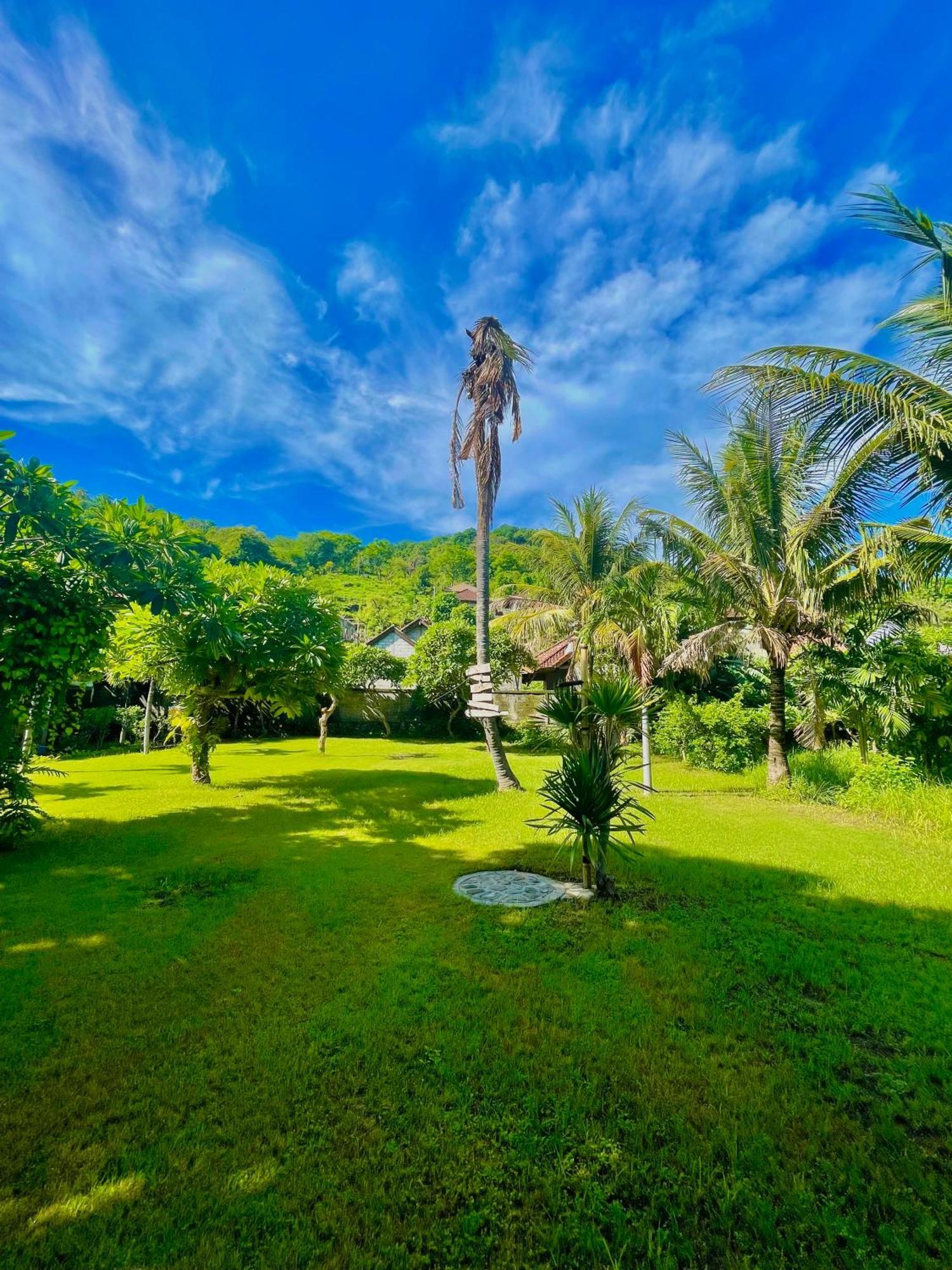 Green Coco House Амед Екстер'єр фото