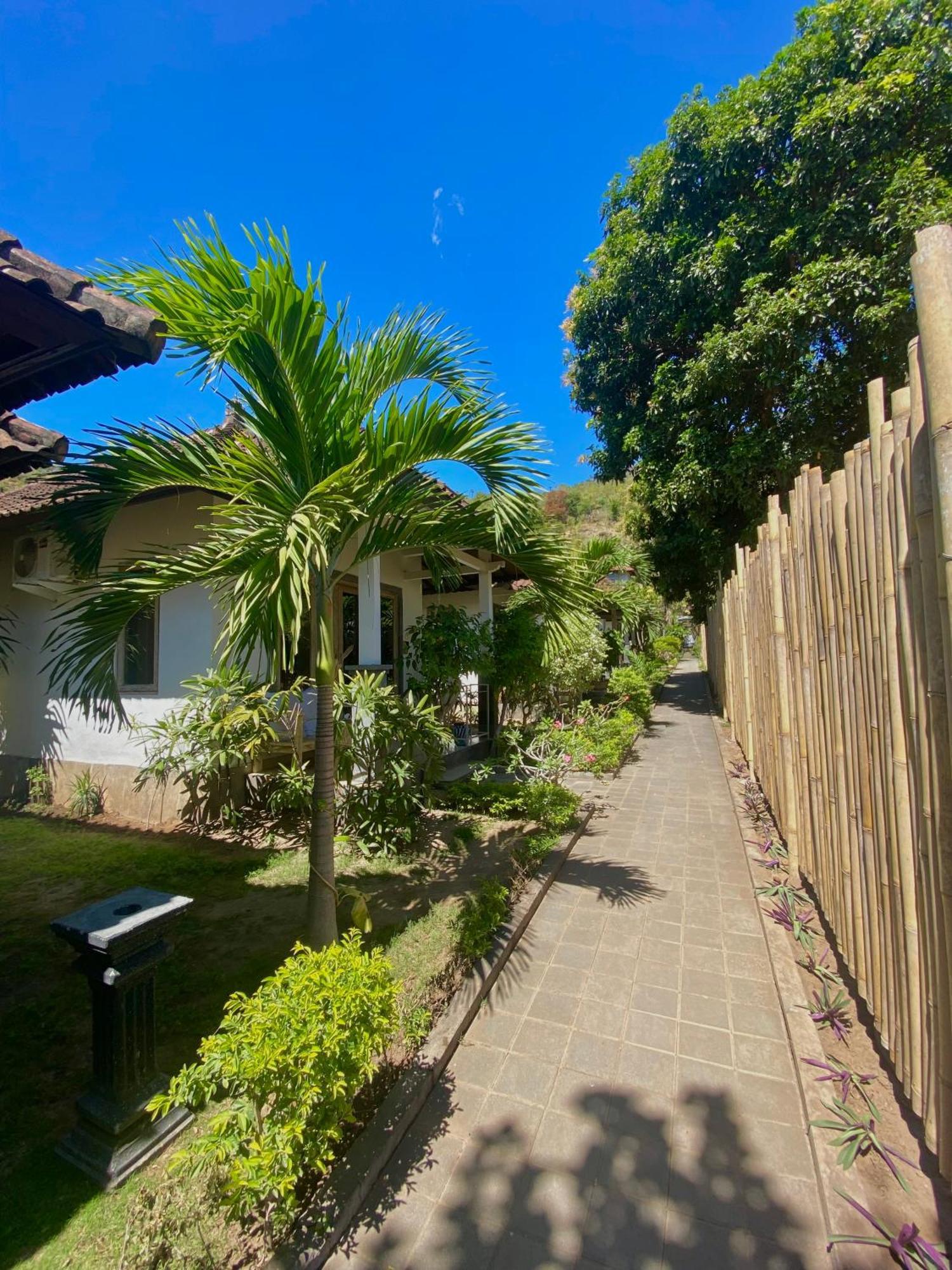 Green Coco House Амед Екстер'єр фото