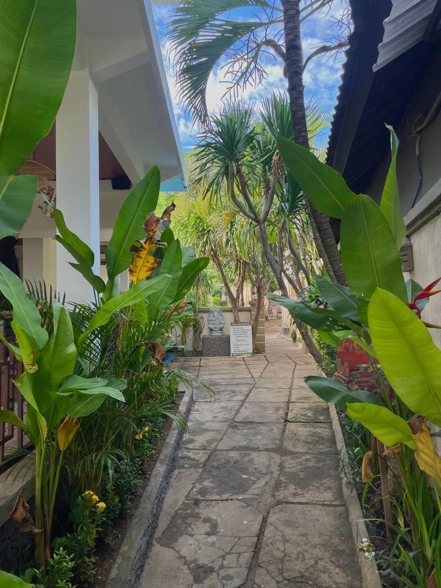 Green Coco House Амед Екстер'єр фото